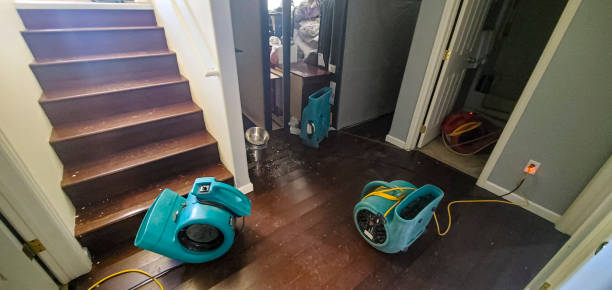 Water damage restoration experts in Agua Dulce, CA