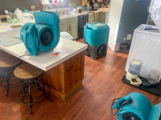 Best Basement water damage restoration  in Agua Dulce, CA